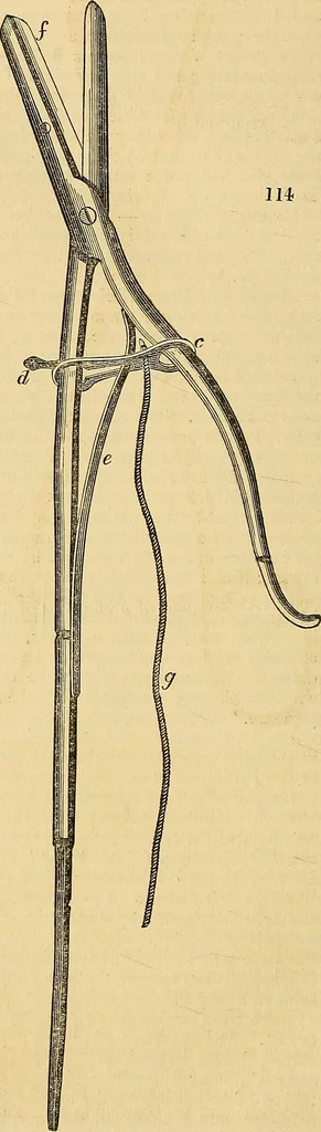 An illustration from The gardener's magazine and register of rural & domestic improvement, 1826, leaf 600