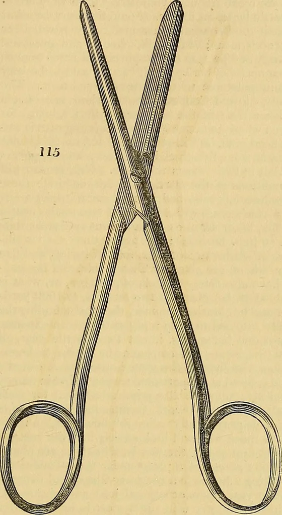 An illustration from The gardener's magazine and register of rural & domestic improvement, 1826, leaf 601