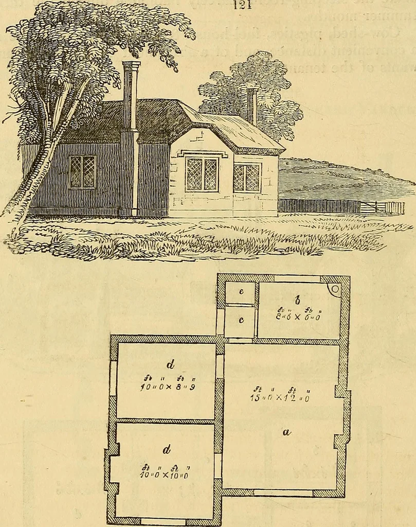 An illustration from The gardener's magazine and register of rural & domestic improvement, 1826, leaf 674