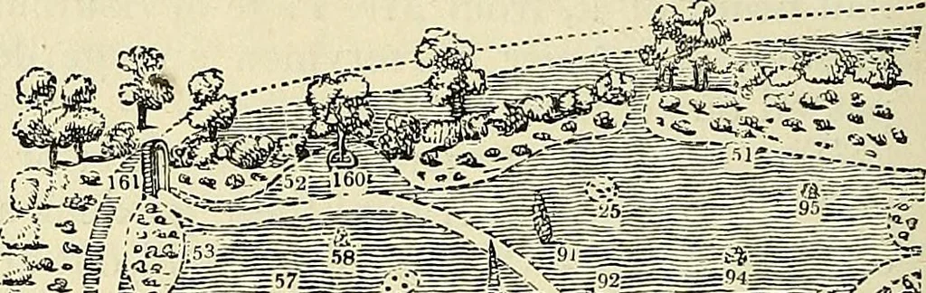 An illustration from The gardener's magazine and register of rural & domestic improvement, 1826, leaf 222