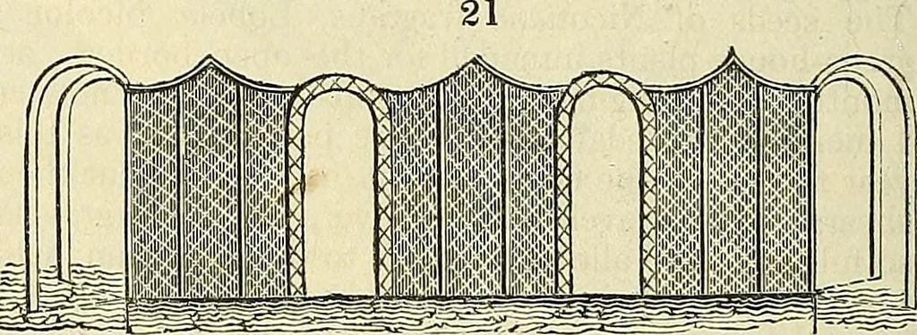 An illustration from The gardener's magazine and register of rural & domestic improvement, 1826, leaf 224