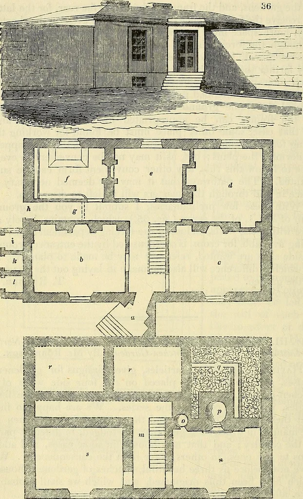 An illustration from The gardener's magazine and register of rural & domestic improvement, 1826, leaf 278
