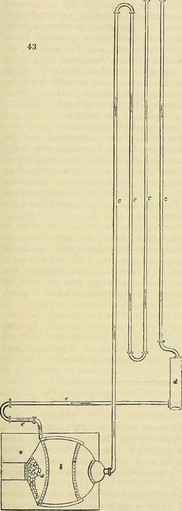 An illustration from The gardener's magazine and register of rural & domestic improvement, 1826, leaf 319
