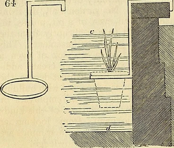 An illustration from The gardener's magazine and register of rural & domestic improvement, 1826, leaf 342