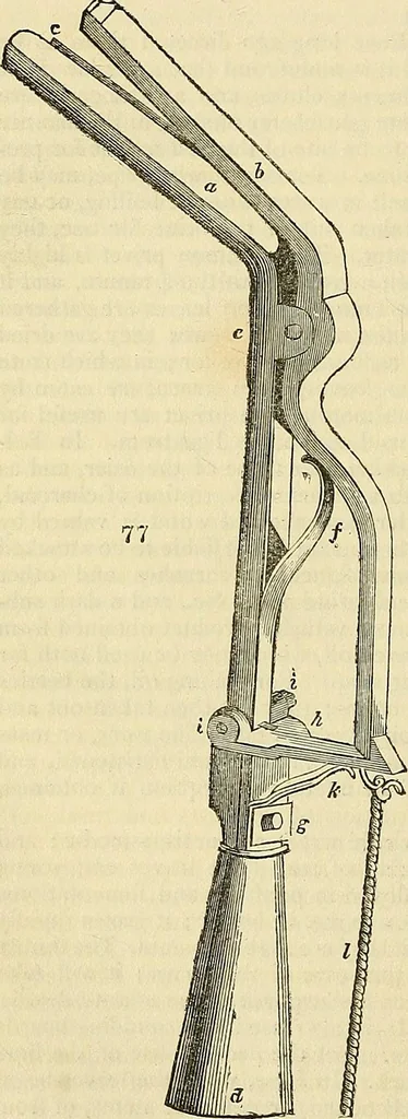 An illustration from The gardener's magazine and register of rural & domestic improvement, 1826, leaf 462