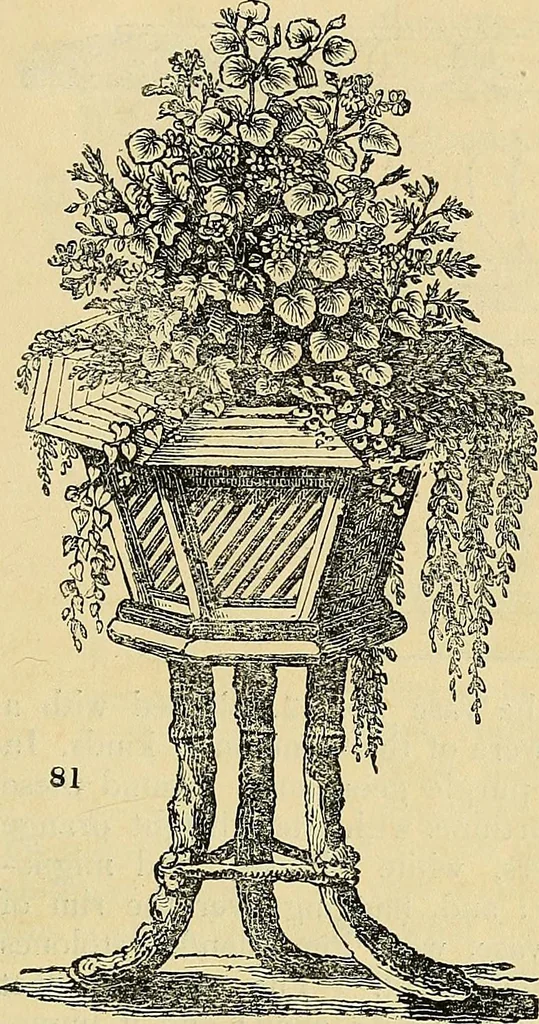 An illustration from The gardener's magazine and register of rural & domestic improvement, 1826, leaf 505