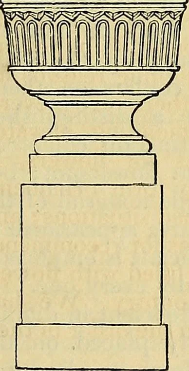 An illustration from The gardener's magazine and register of rural & domestic improvement, 1826, leaf 507