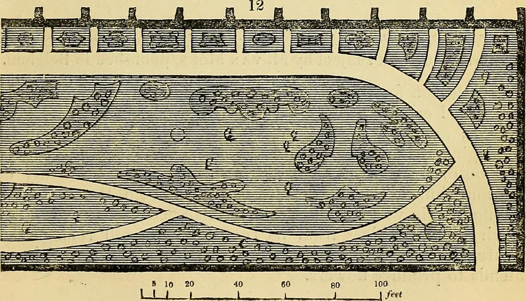An illustration from The gardener's magazine and register of rural & domestic improvement, 1826, leaf 143