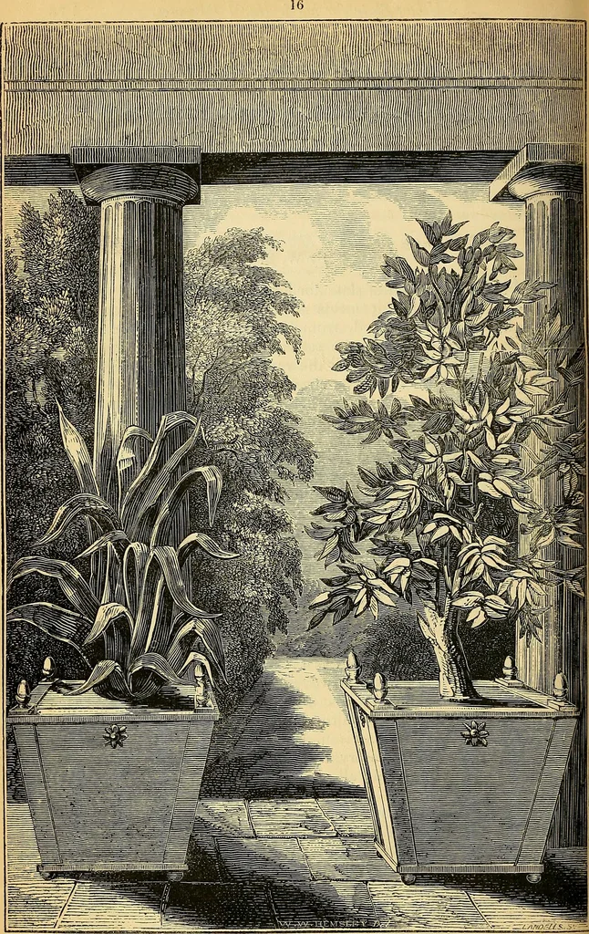 An illustration from The gardener's magazine and register of rural & domestic improvement, 1826, leaf 196