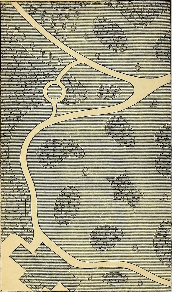 An illustration from The gardener's magazine and register of rural & domestic improvement, 1826, leaf 200