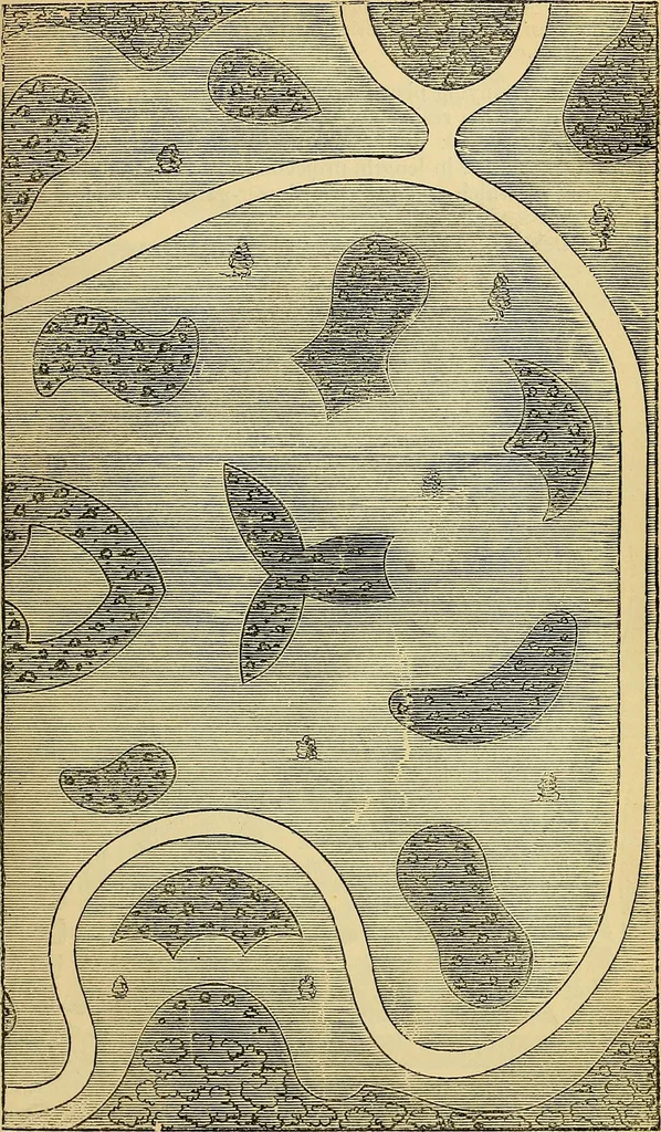 An illustration from The gardener's magazine and register of rural & domestic improvement, 1826, leaf 201