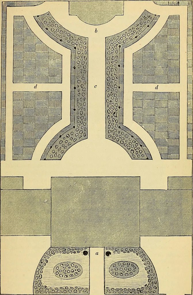 An illustration from The gardener's magazine and register of rural & domestic improvement, 1826, leaf 253