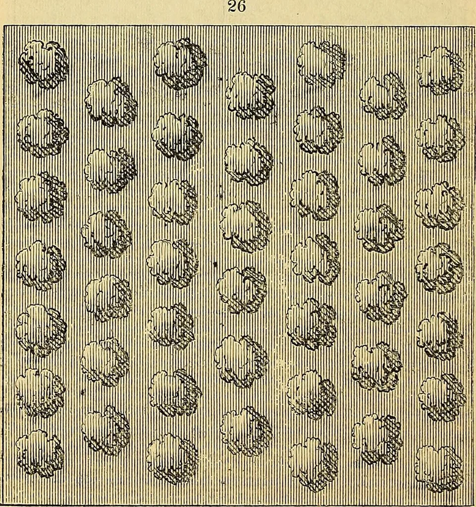 An illustration from The gardener's magazine and register of rural & domestic improvement, 1826, leaf 262