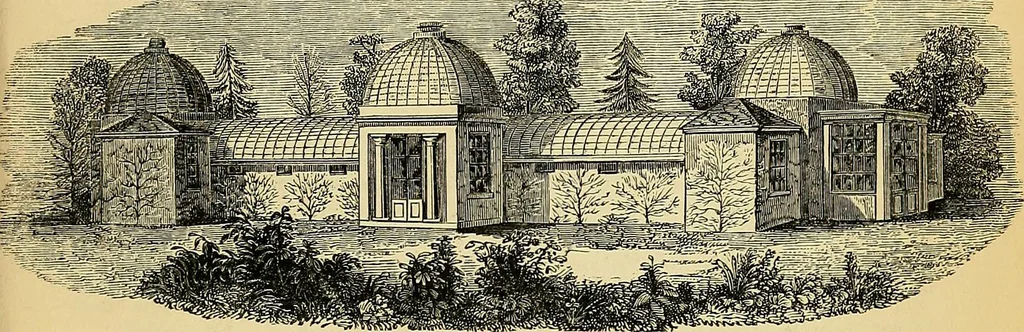An illustration from The gardener's magazine and register of rural & domestic improvement, 1826, leaf 335