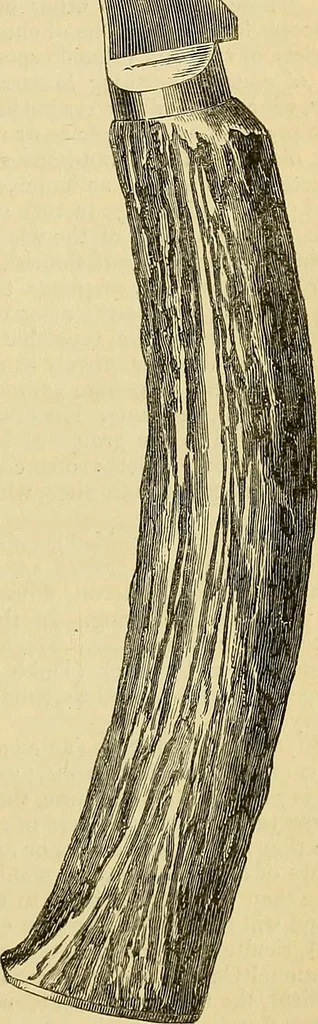 An illustration from The gardener's magazine and register of rural & domestic improvement, 1826, leaf 345