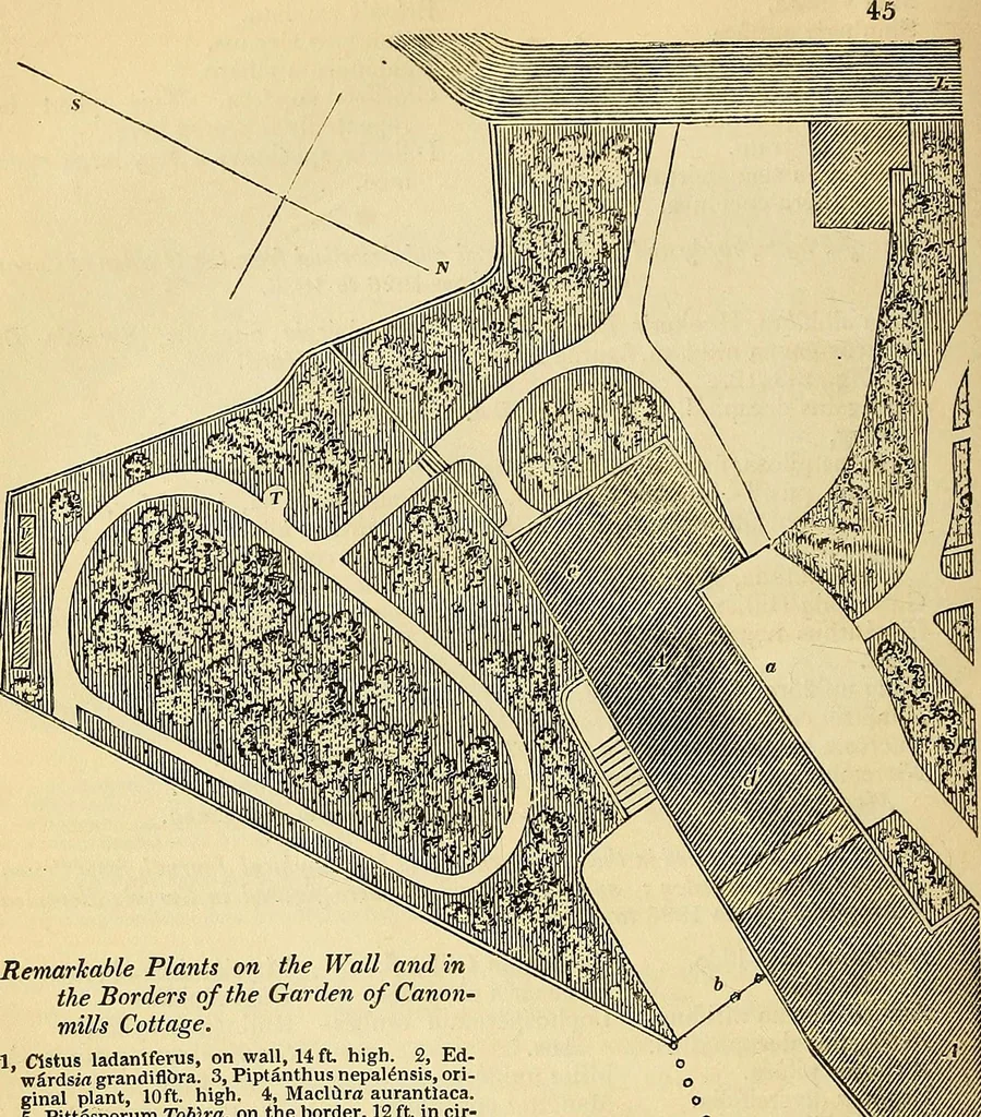 An illustration from The gardener's magazine and register of rural & domestic improvement, 1826, leaf 358