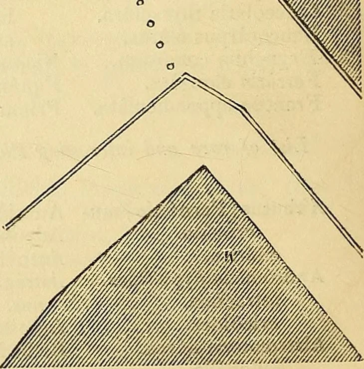 An illustration from The gardener's magazine and register of rural & domestic improvement, 1826, leaf 358