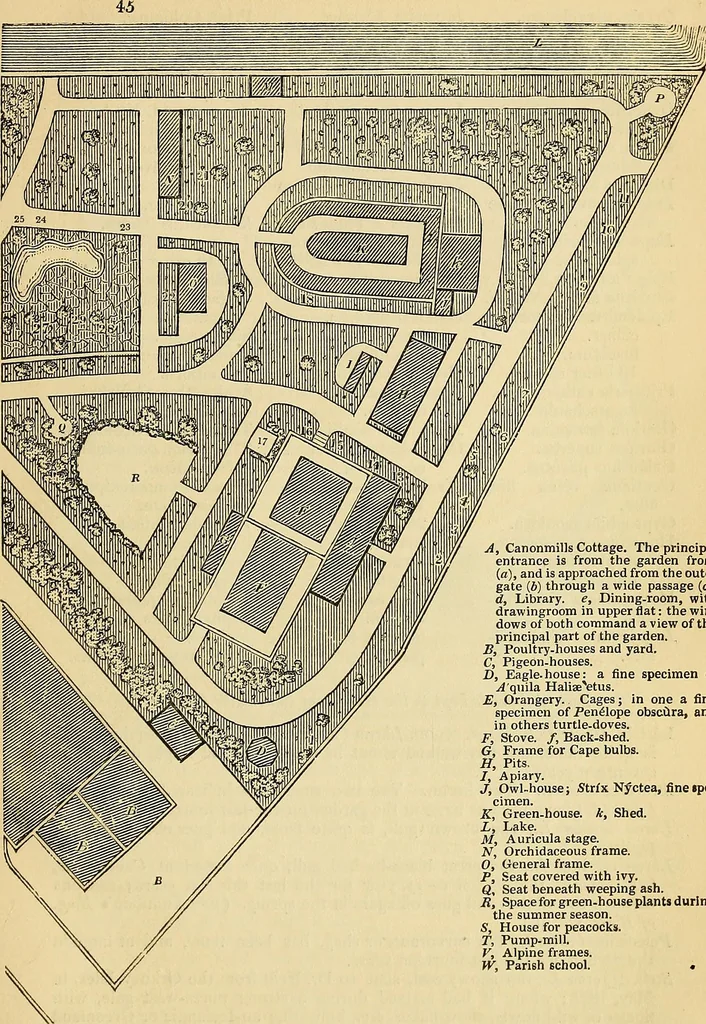 An illustration from The gardener's magazine and register of rural & domestic improvement, 1826, leaf 359