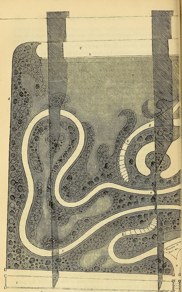 An illustration from The gardener's magazine and register of rural & domestic improvement, 1826, leaf 36