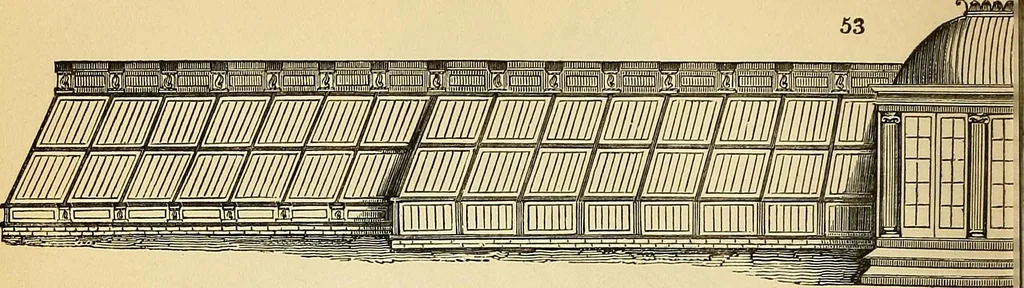 An illustration from The gardener's magazine and register of rural & domestic improvement, 1826, leaf 372