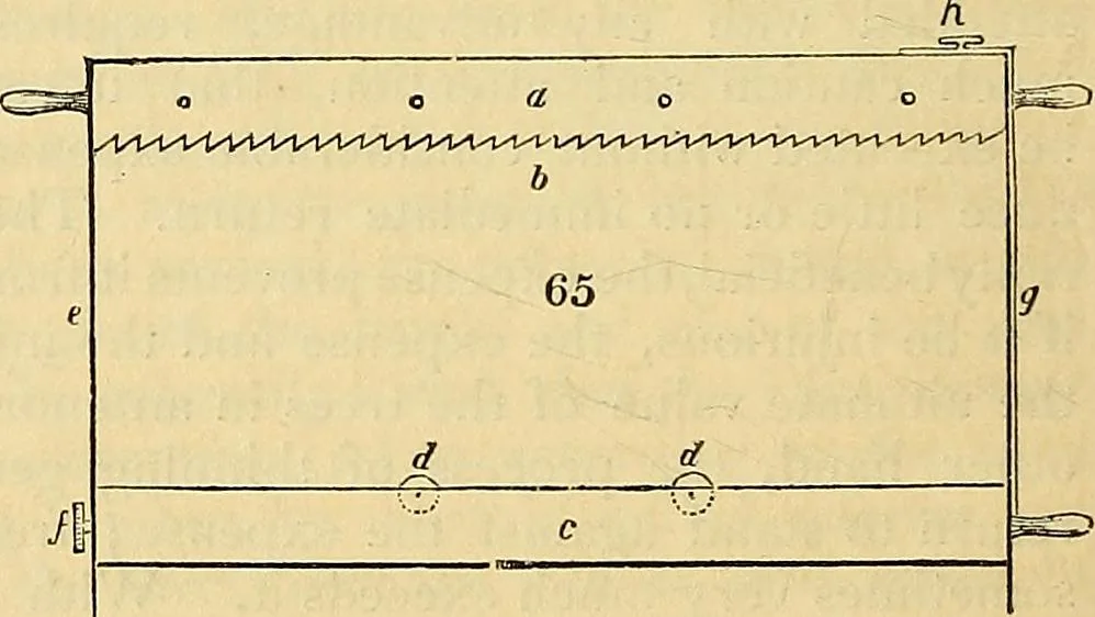 An illustration from The gardener's magazine and register of rural & domestic improvement, 1826, leaf 430