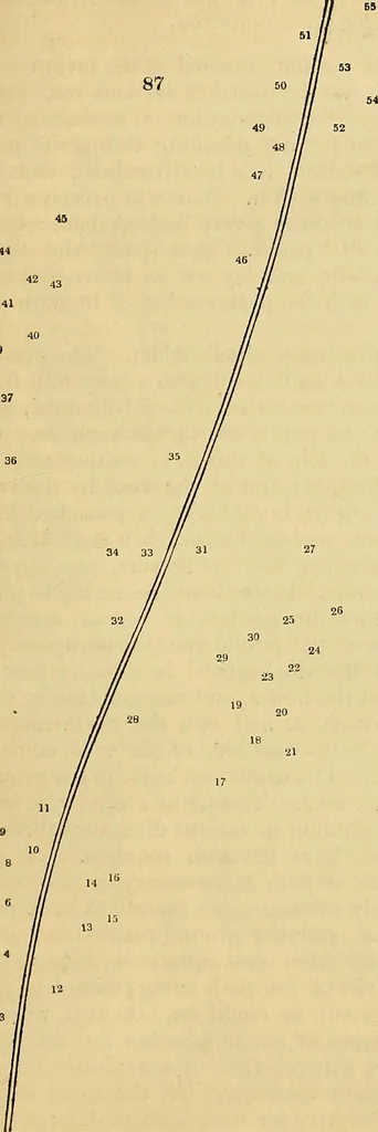 An illustration from The gardener's magazine and register of rural & domestic improvement, 1826, leaf 537