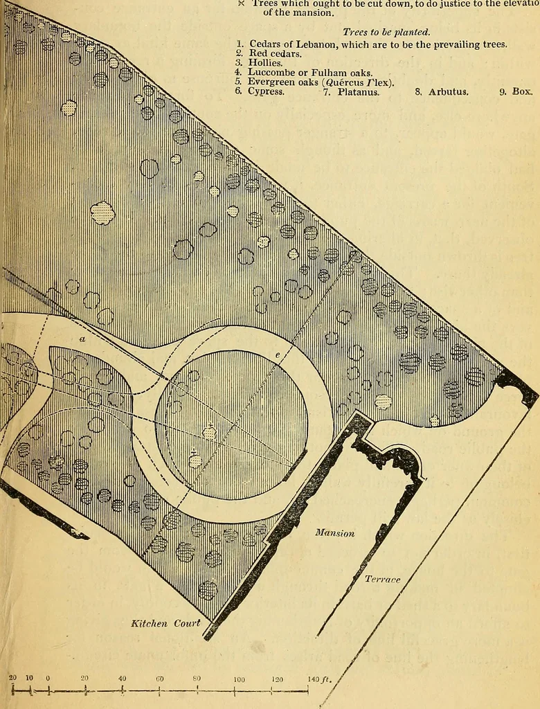 An illustration from The gardener's magazine and register of rural & domestic improvement, 1826, leaf 77