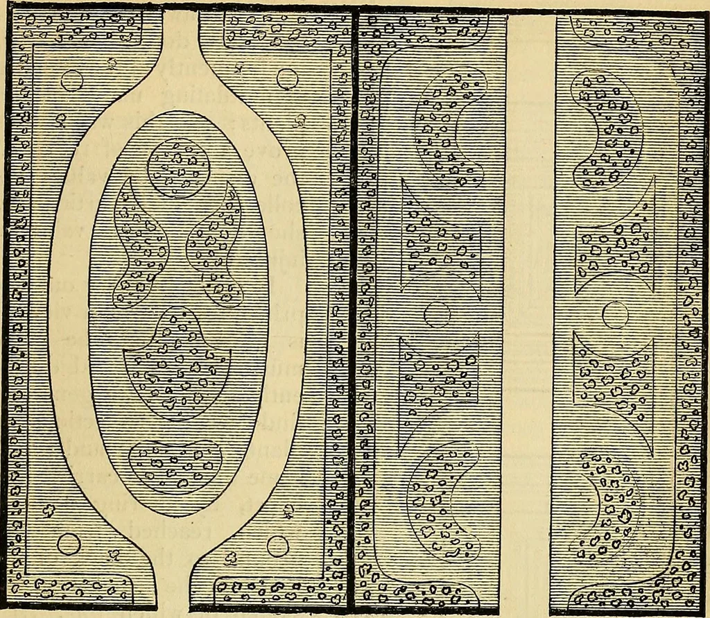 An illustration from The gardener's magazine and register of rural & domestic improvement, 1826, leaf 91