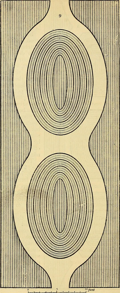 An illustration from The gardener's magazine and register of rural & domestic improvement, 1826, leaf 94