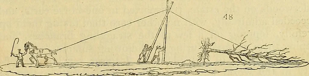 An illustration from The gardener's magazine and register of rural & domestic improvement, 1826, leaf 127