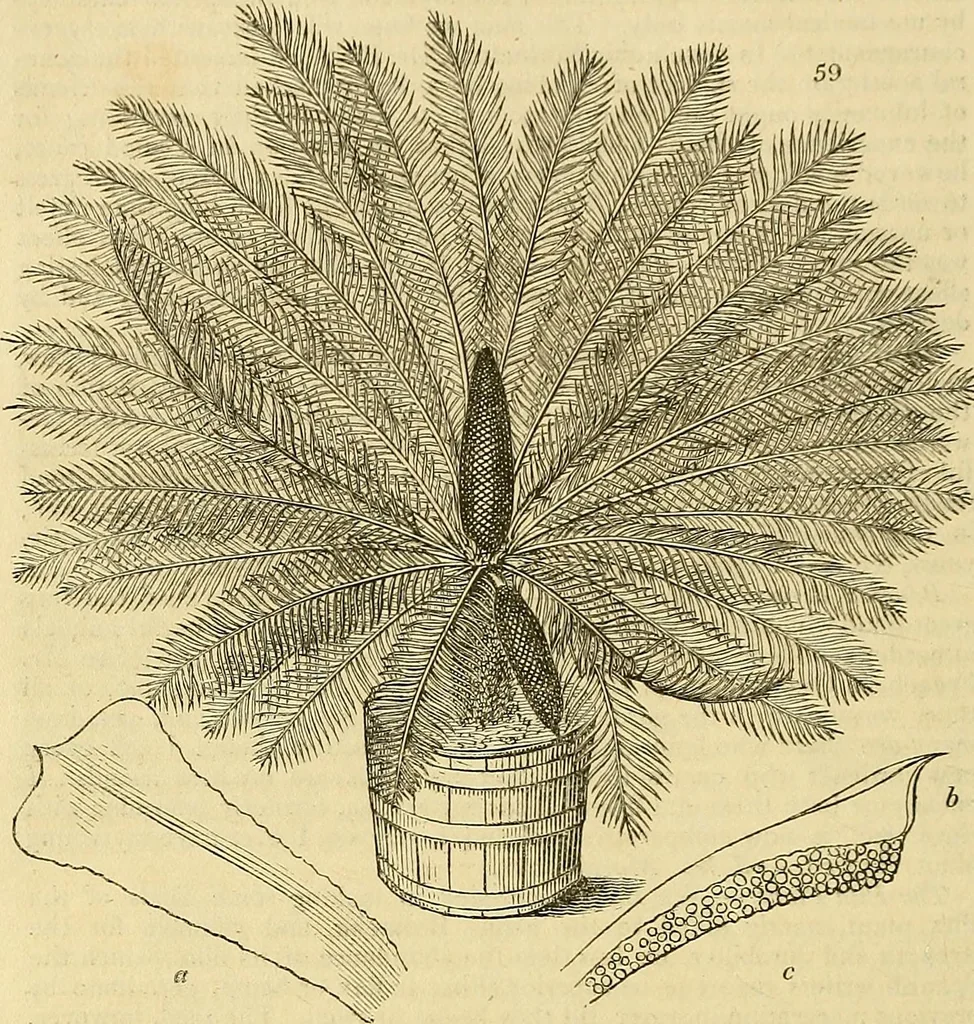 An illustration from The gardener's magazine and register of rural & domestic improvement, 1826, leaf 172