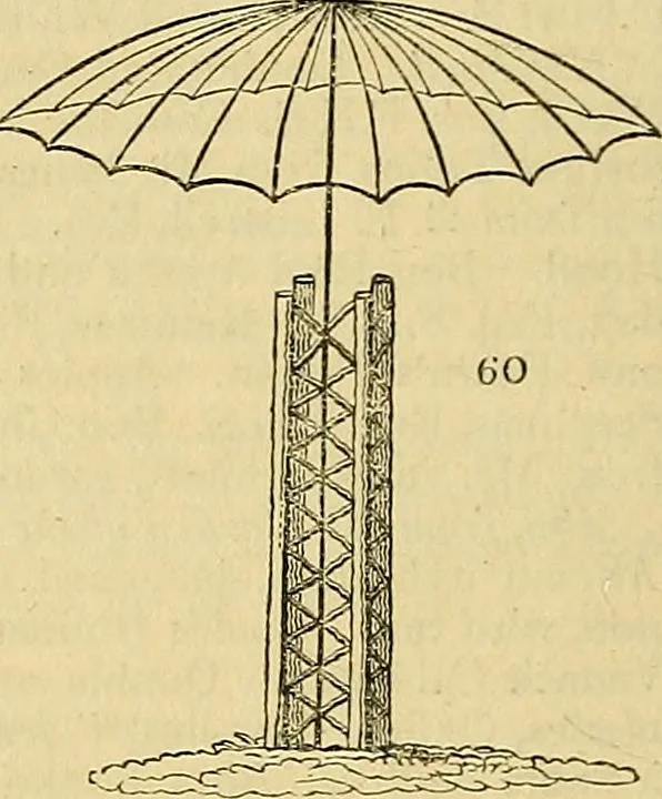 An illustration from The gardener's magazine and register of rural & domestic improvement, 1826, leaf 178