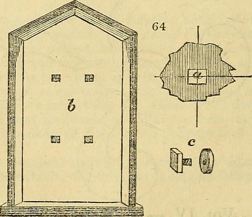 An illustration from The gardener's magazine and register of rural & domestic improvement, 1826, leaf 188