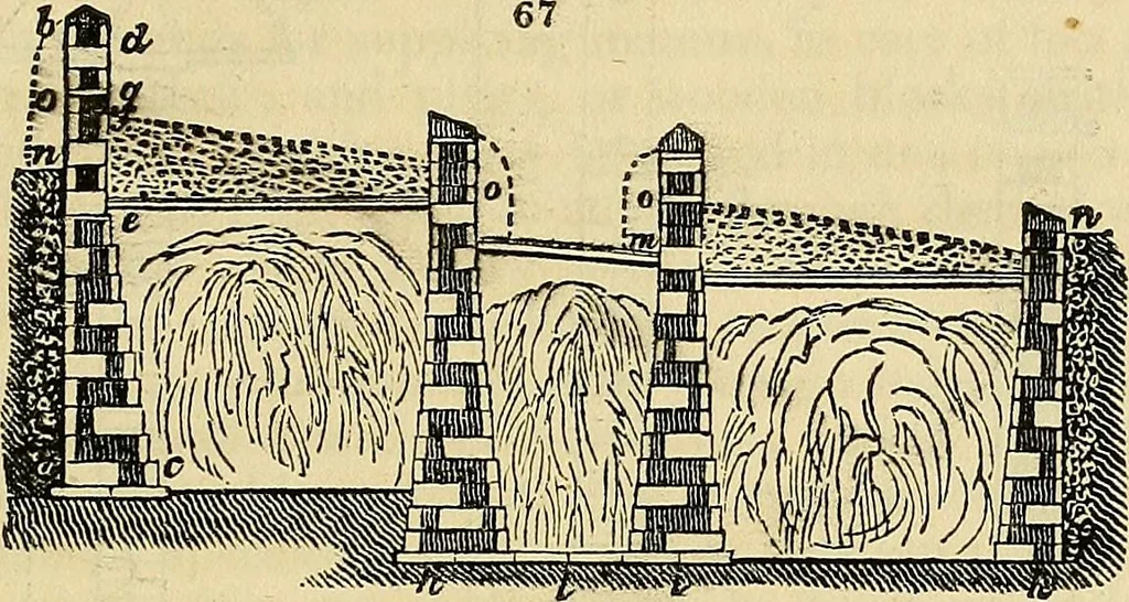 An illustration from The gardener's magazine and register of rural & domestic improvement, 1826, leaf 237