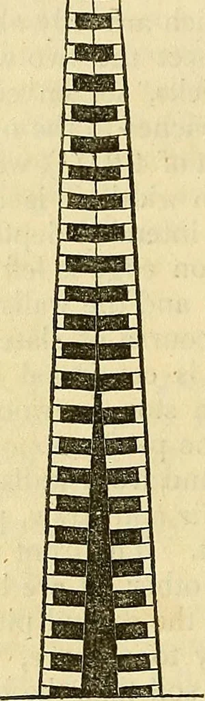 An illustration from The gardener's magazine and register of rural & domestic improvement, 1826, leaf 238