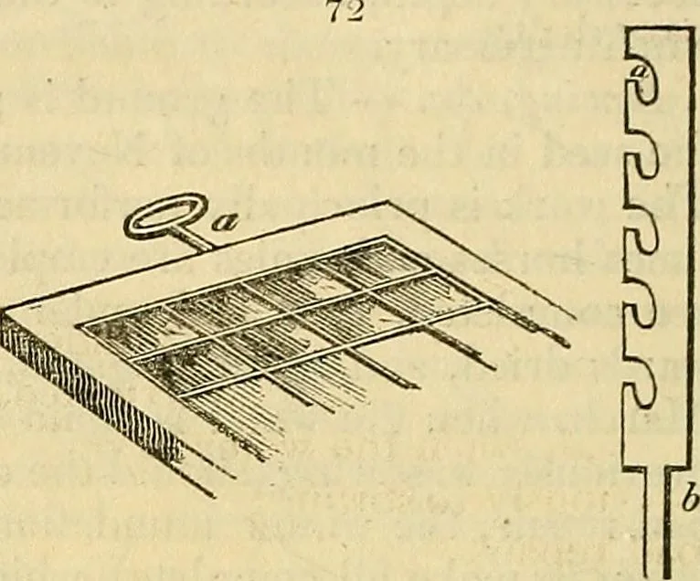 An illustration from The gardener's magazine and register of rural & domestic improvement, 1826, leaf 250
