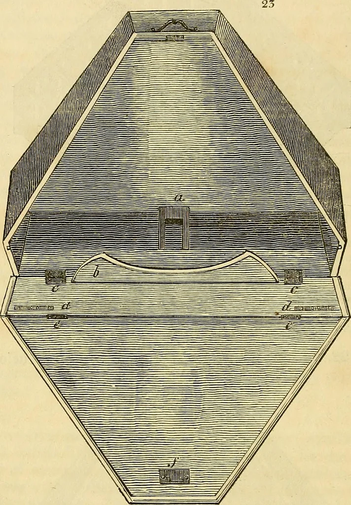 An illustration from The gardener's magazine and register of rural & domestic improvement, 1826, leaf 26