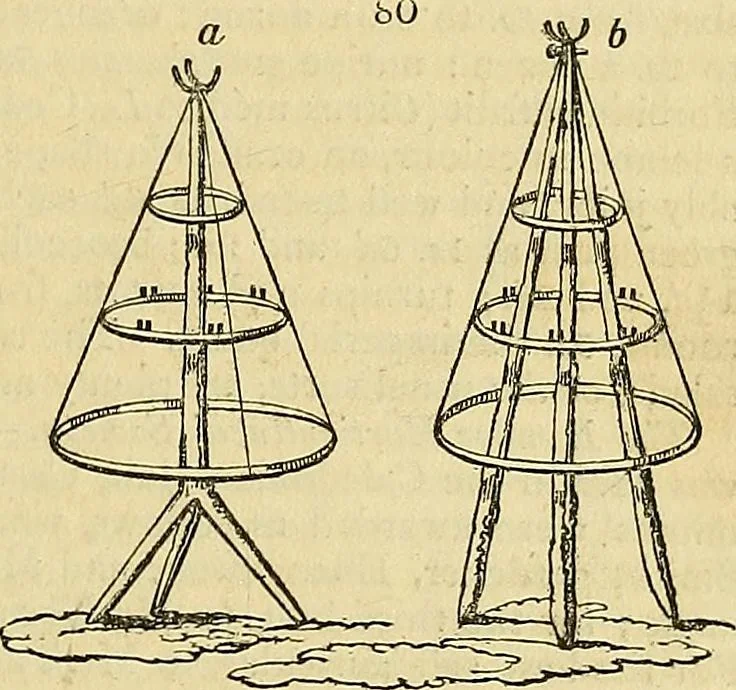 An illustration from The gardener's magazine and register of rural & domestic improvement, 1826, leaf 291