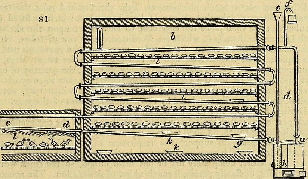 An illustration from The gardener's magazine and register of rural & domestic improvement, 1826, leaf 315