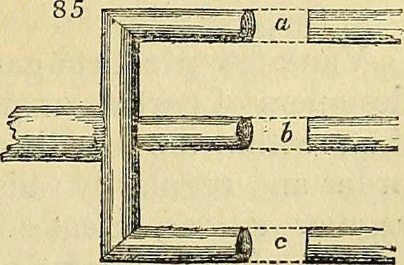 An illustration from The gardener's magazine and register of rural & domestic improvement, 1826, leaf 341