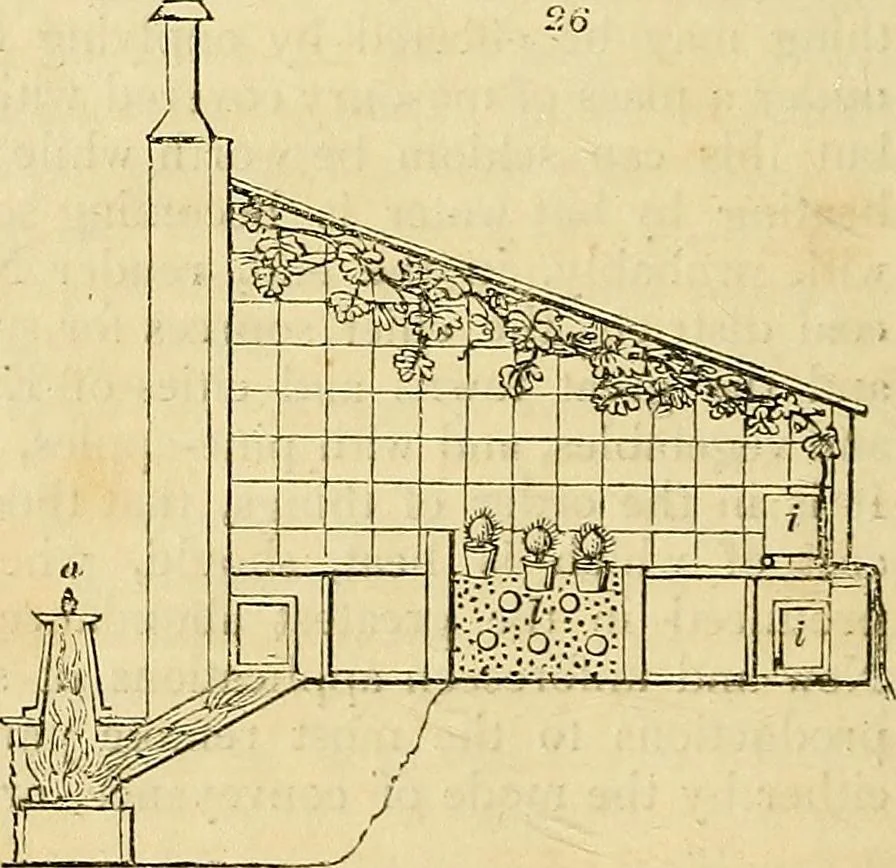 An illustration from The gardener's magazine and register of rural & domestic improvement, 1826, leaf 38