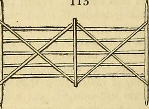 An illustration from The gardener's magazine and register of rural & domestic improvement, 1826, leaf 412