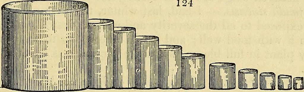 An illustration from The gardener's magazine and register of rural & domestic improvement, 1826, leaf 495