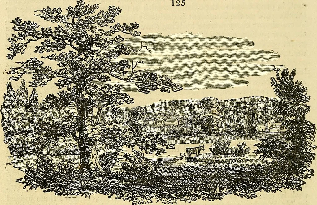 An illustration from The gardener's magazine and register of rural & domestic improvement, 1826, leaf 510