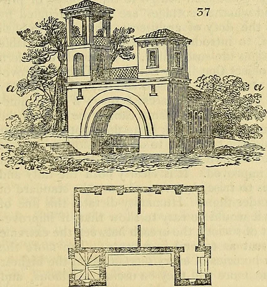 An illustration from The gardener's magazine and register of rural & domestic improvement, 1826, leaf 55