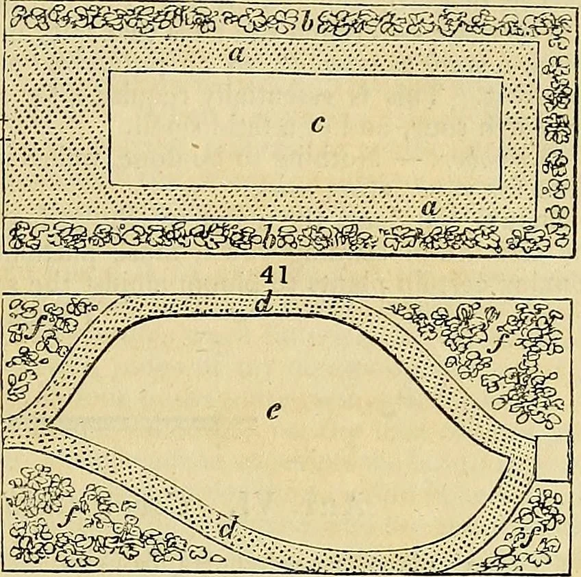 An illustration from The gardener's magazine and register of rural & domestic improvement, 1826, leaf 69