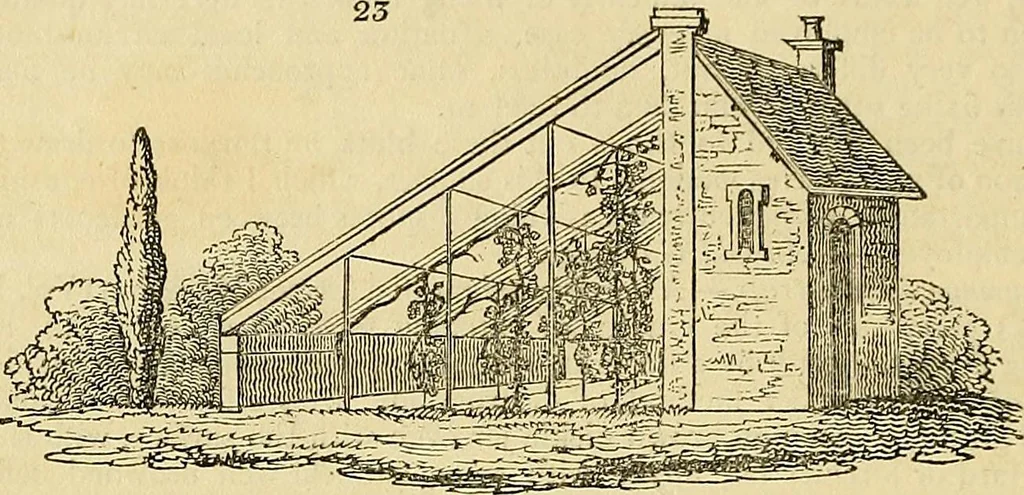 An illustration from The gardener's magazine and register of rural & domestic improvement, 1826, leaf 120