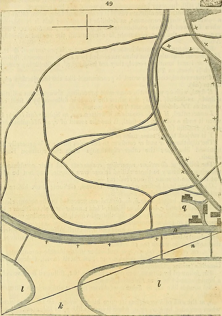 An illustration from The gardener's magazine and register of rural & domestic improvement, 1826, leaf 244