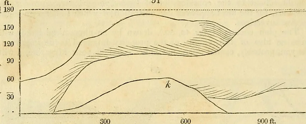 An illustration from The gardener's magazine and register of rural & domestic improvement, 1826, leaf 246