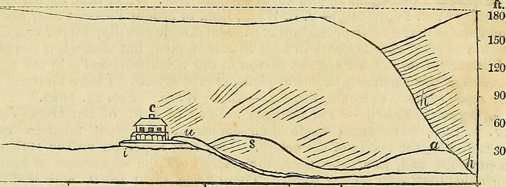 An illustration from The gardener's magazine and register of rural & domestic improvement, 1826, leaf 247
